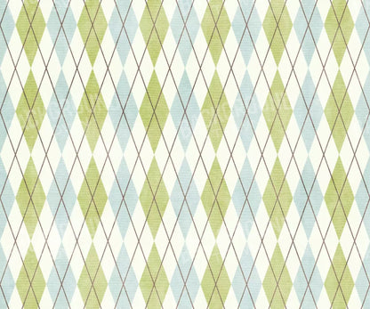 Eddie 5’X4’2’’ Fleece (60 X 50 Inch) Backdrop