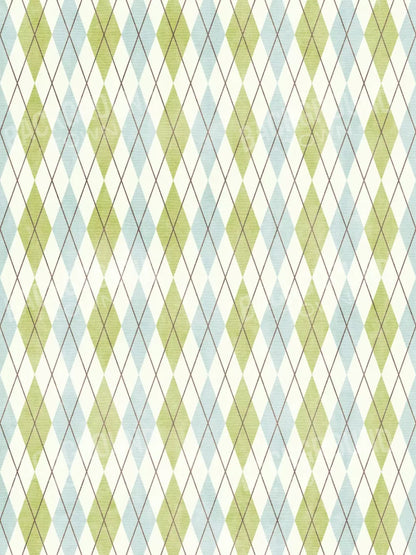 Eddie 8’X10’ Fleece (96 X 120 Inch) Backdrop