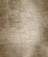 Beige Classic and Masters Backdrop for Photography