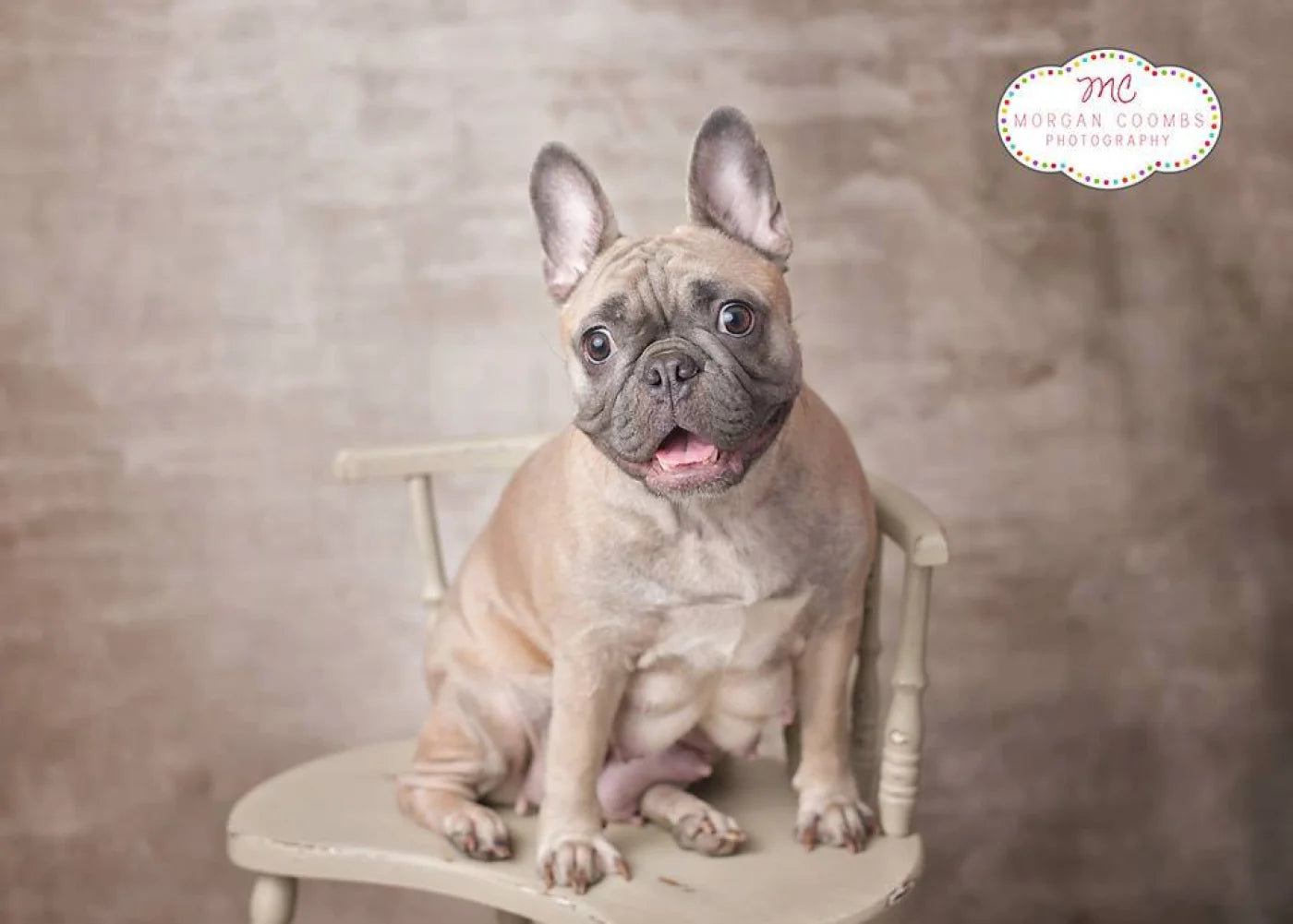 Edgar Backdrop