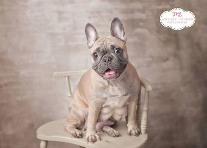 Edgar Backdrop
