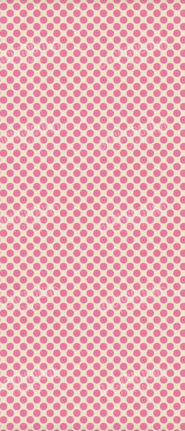 Edina 5X12 Ultracloth For Westcott X-Drop ( 60 X 144 Inch ) Backdrop