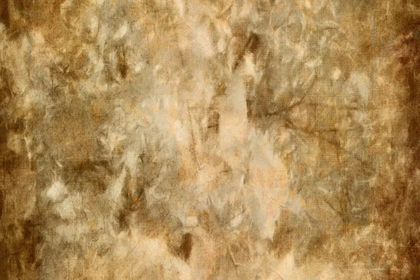 Edmond Backdrop