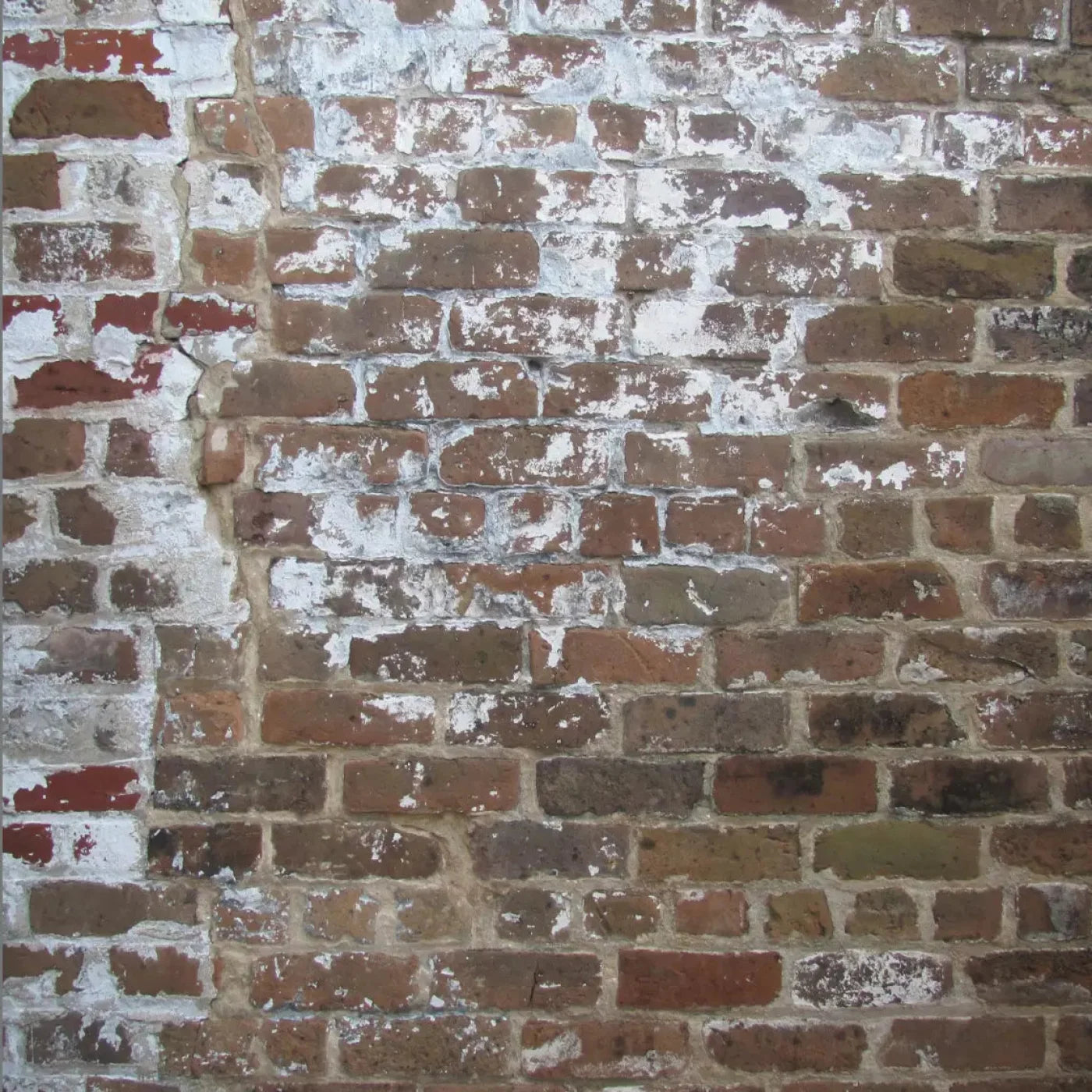Egress 10X10 Ultracloth ( 120 X Inch ) Backdrop