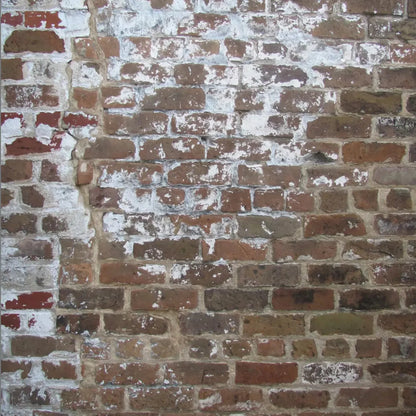 Egress 10X10 Ultracloth ( 120 X Inch ) Backdrop