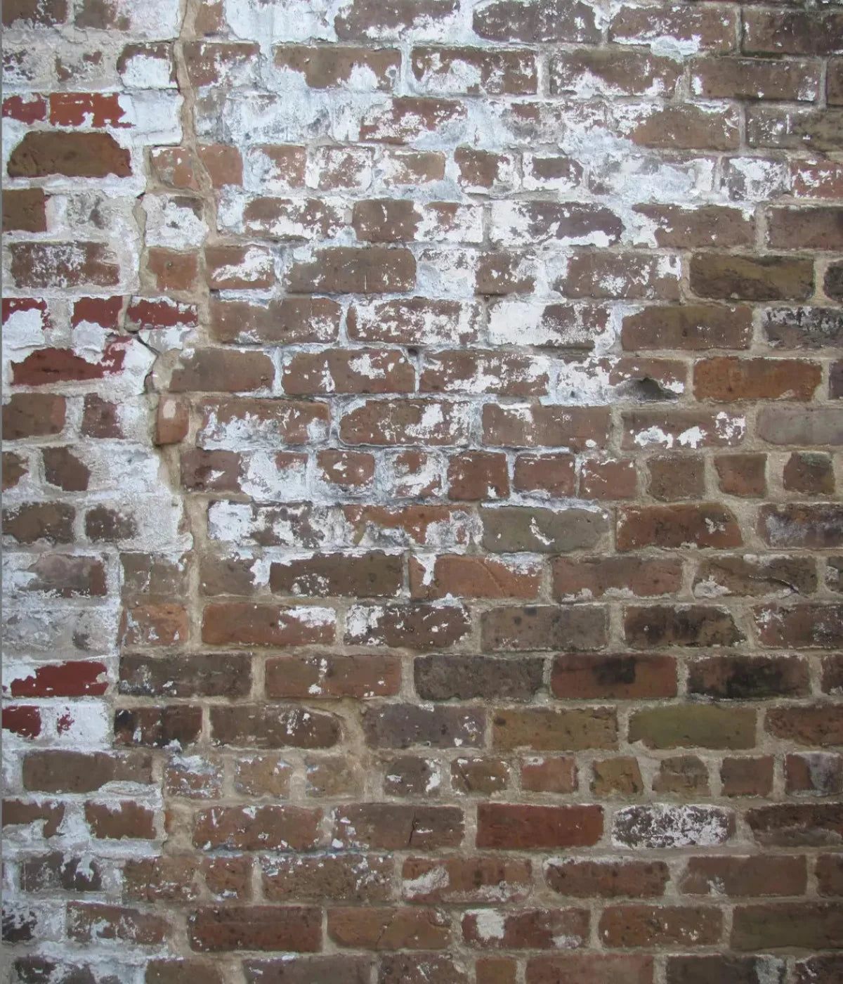 Egress 10X12 Ultracloth ( 120 X 144 Inch ) Backdrop