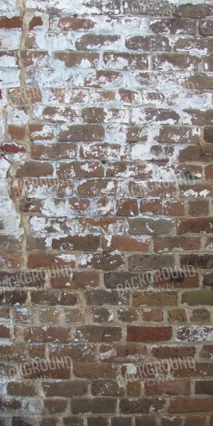 Egress 10X20 Ultracloth ( 120 X 240 Inch ) Backdrop