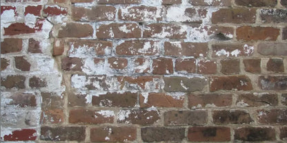 Egress 20X10 Ultracloth ( 240 X 120 Inch ) Backdrop
