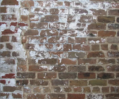 Egress 5X42 Fleece ( 60 X 50 Inch ) Backdrop