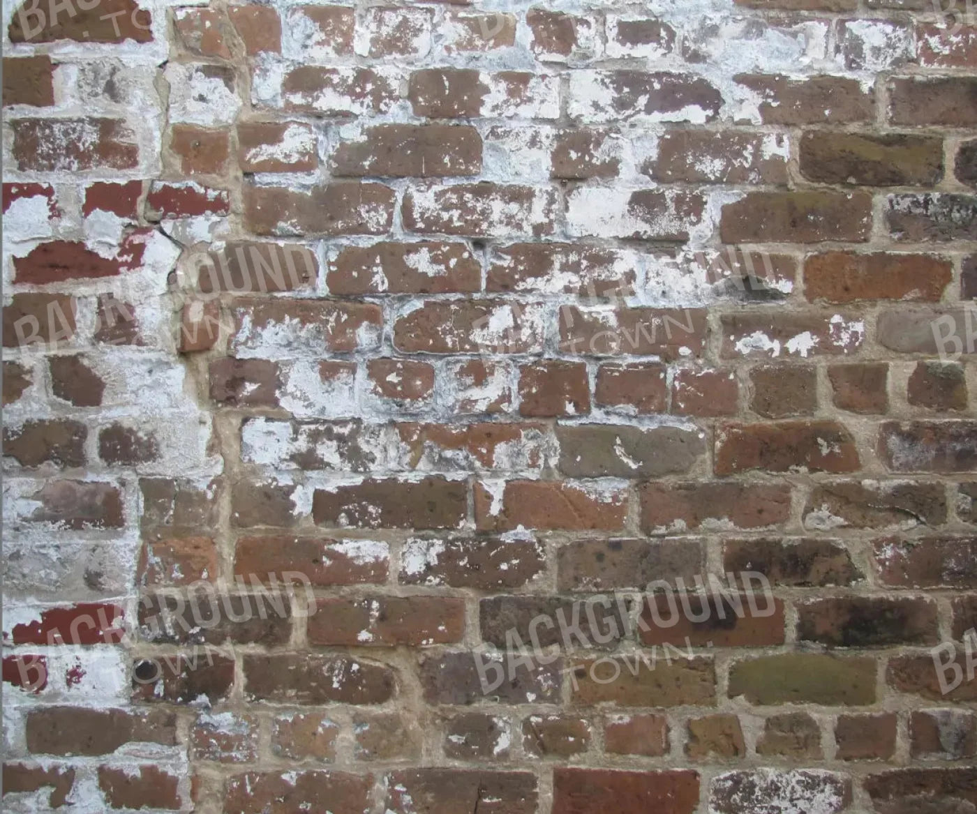 Egress 5X42 Fleece ( 60 X 50 Inch ) Backdrop