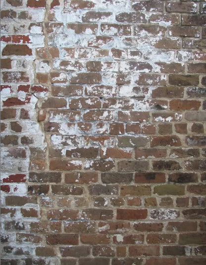 Egress 6X8 Fleece ( 72 X 96 Inch ) Backdrop