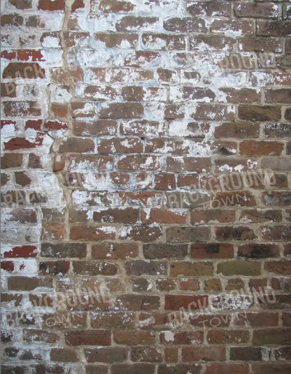 Egress 6X8 Fleece ( 72 X 96 Inch ) Backdrop