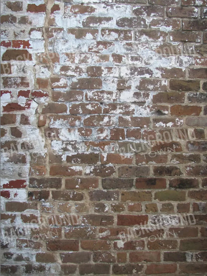 Egress 8X10 Fleece ( 96 X 120 Inch ) Backdrop