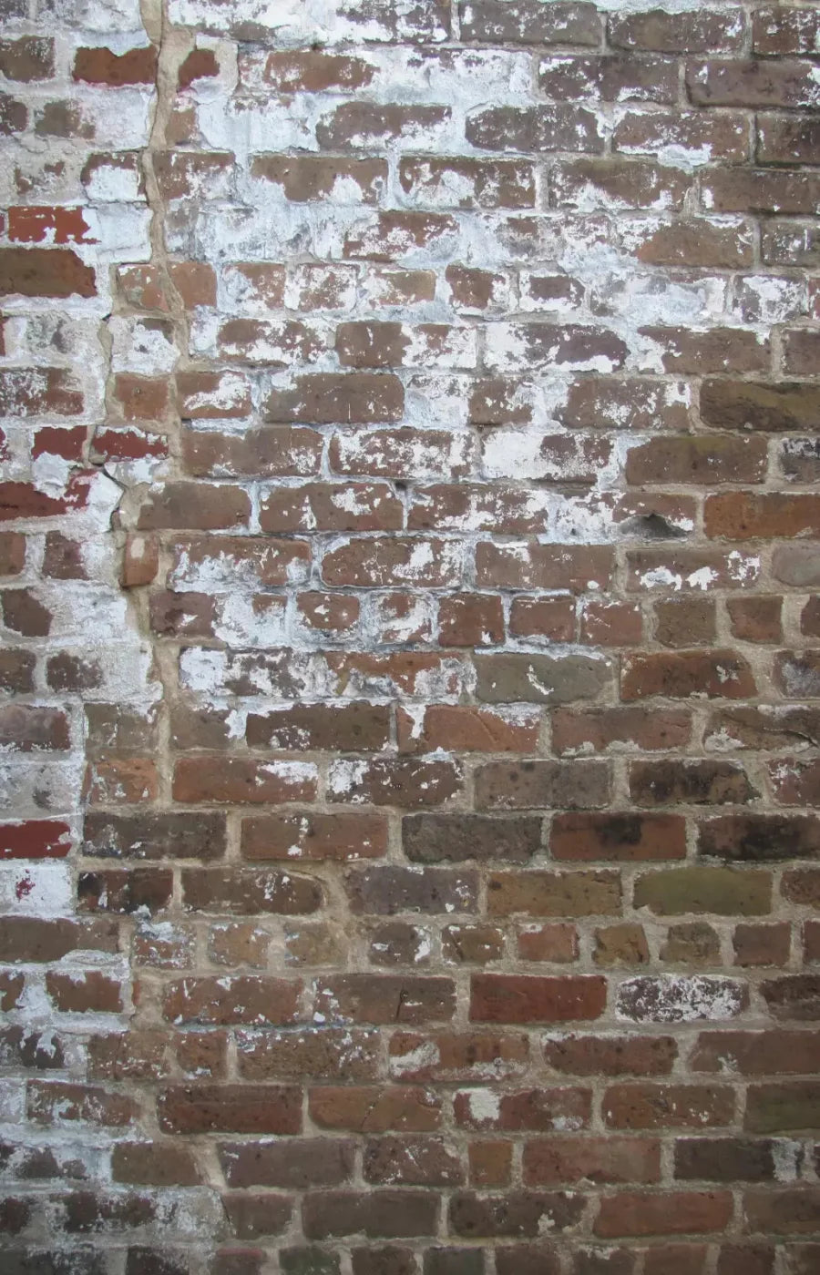 Egress 8X12 Ultracloth ( 96 X 144 Inch ) Backdrop