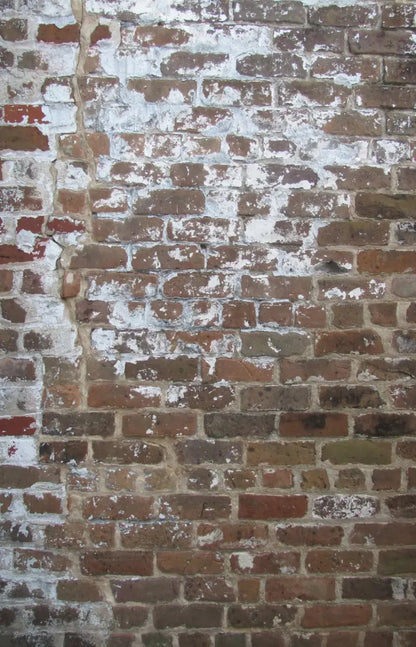 Egress 8X12 Ultracloth ( 96 X 144 Inch ) Backdrop