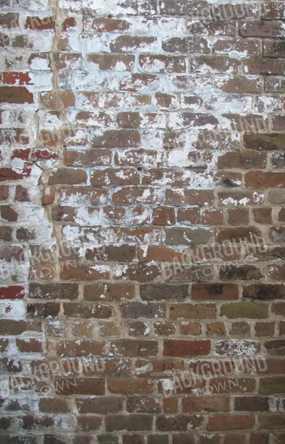 Egress 8X12 Ultracloth ( 96 X 144 Inch ) Backdrop