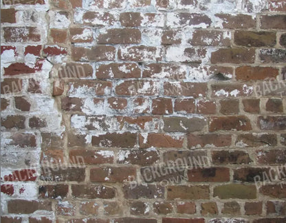 Egress 8X6 Fleece ( 96 X 72 Inch ) Backdrop