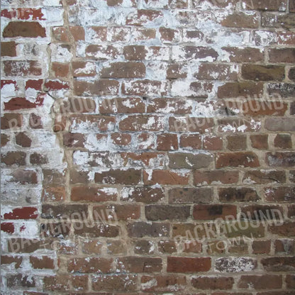 Egress 8X8 Fleece ( 96 X Inch ) Backdrop