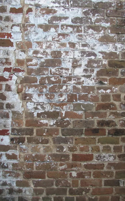 Egress 9X14 Ultracloth ( 108 X 168 Inch ) Backdrop