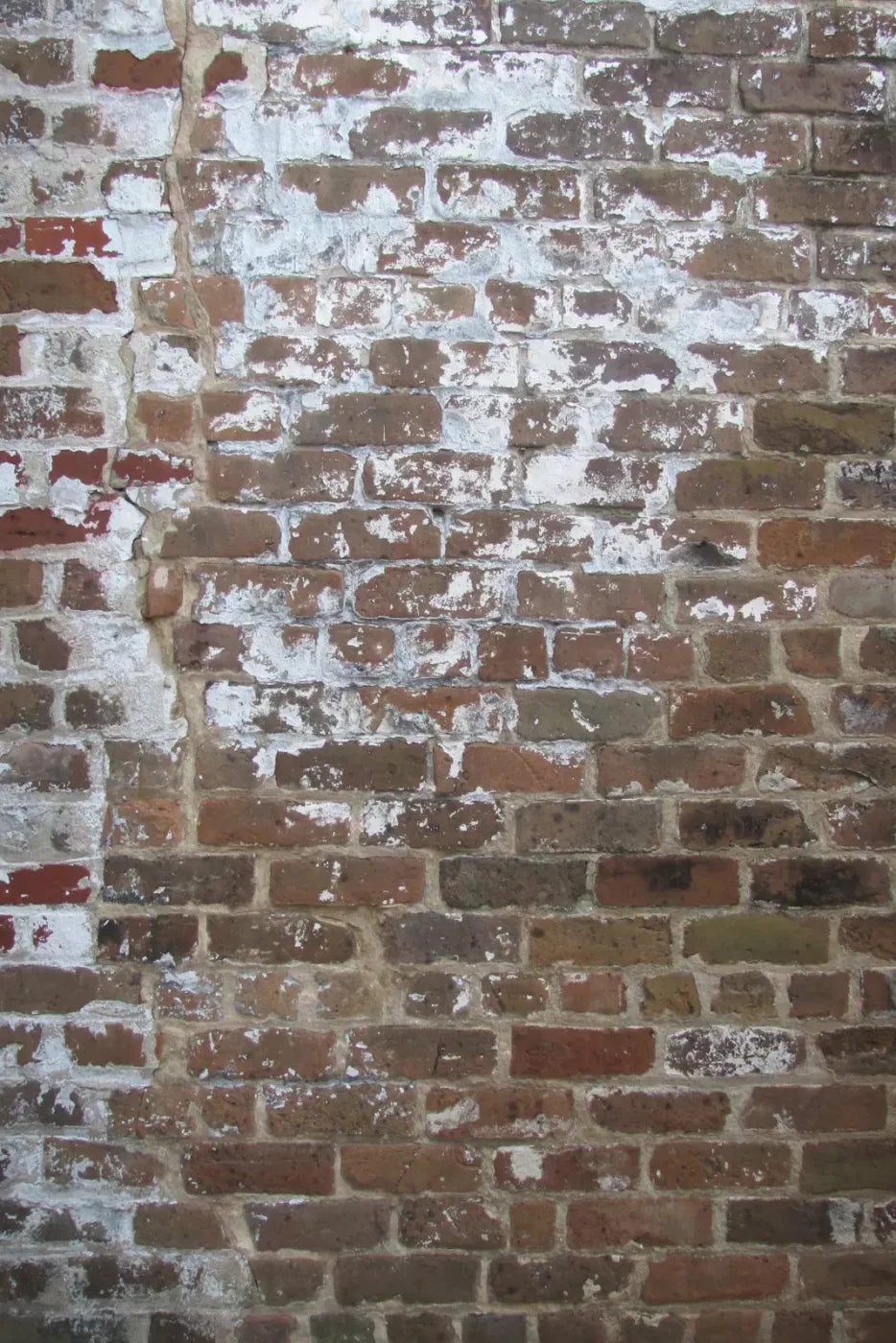 Egress Backdrop