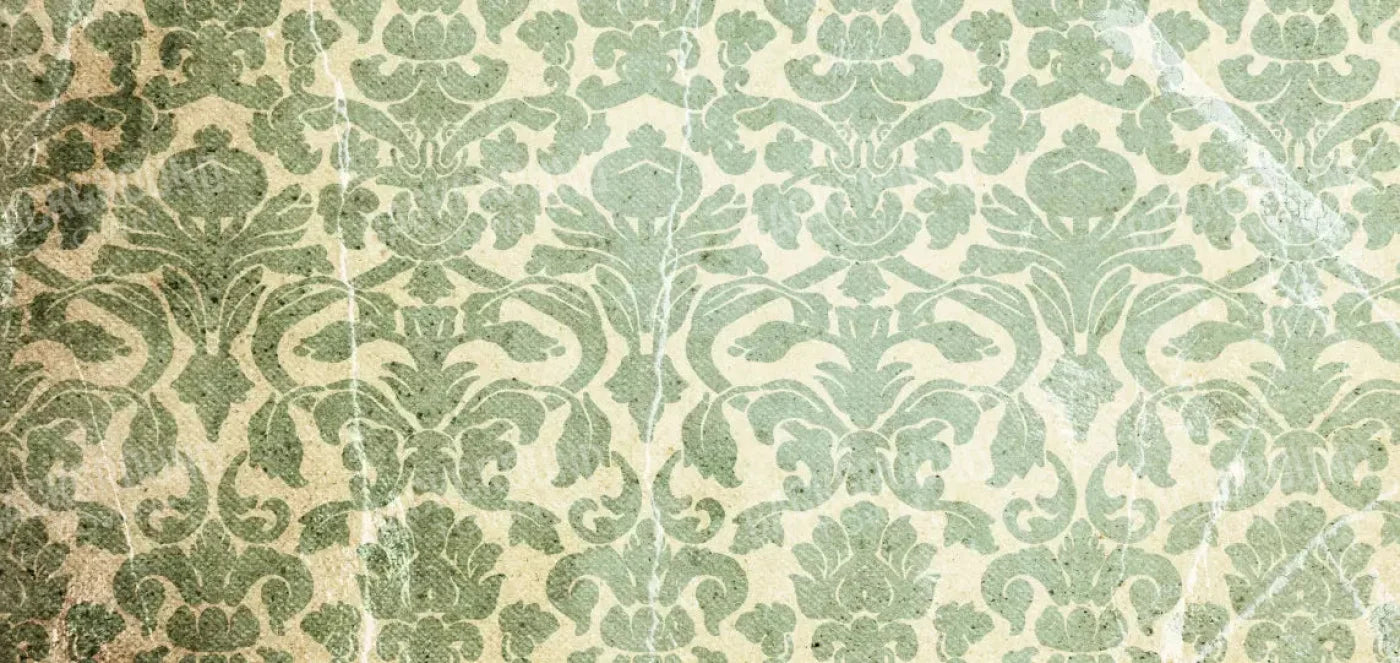 Elegant 16X8 Ultracloth ( 192 X 96 Inch ) Backdrop