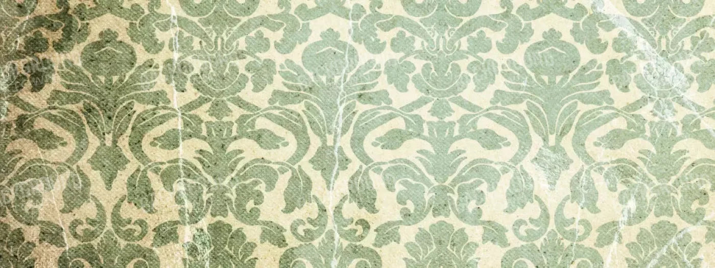 Elegant 20X8 Ultracloth ( 240 X 96 Inch ) Backdrop