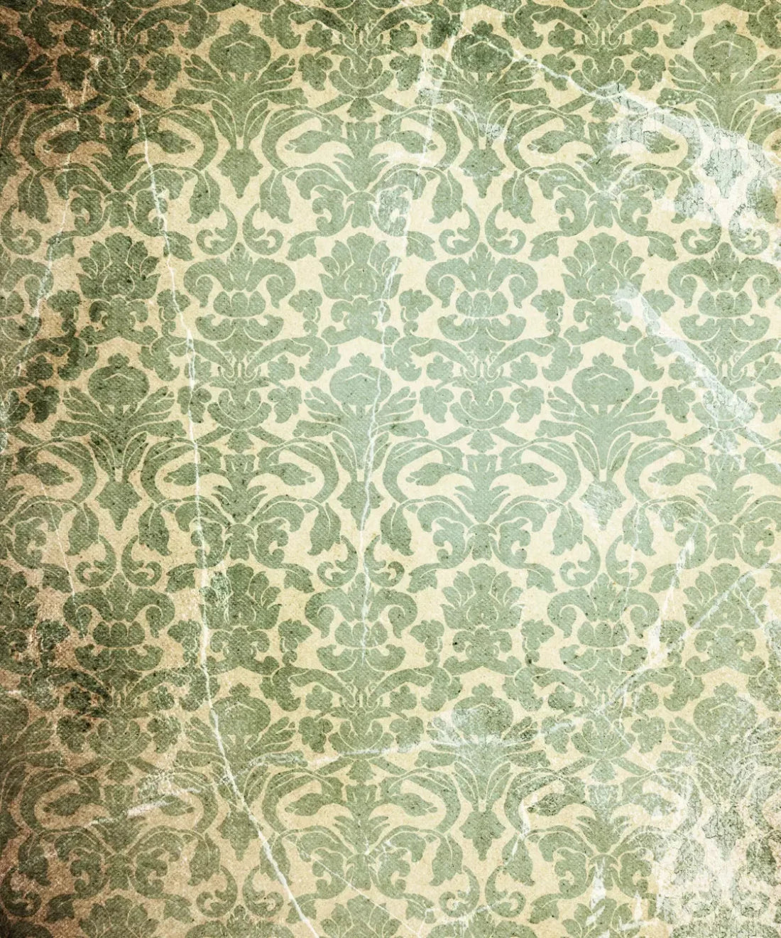 Green Damask Backdrop for Photography