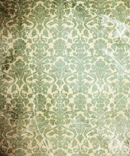 Green Damask Backdrop for Photography