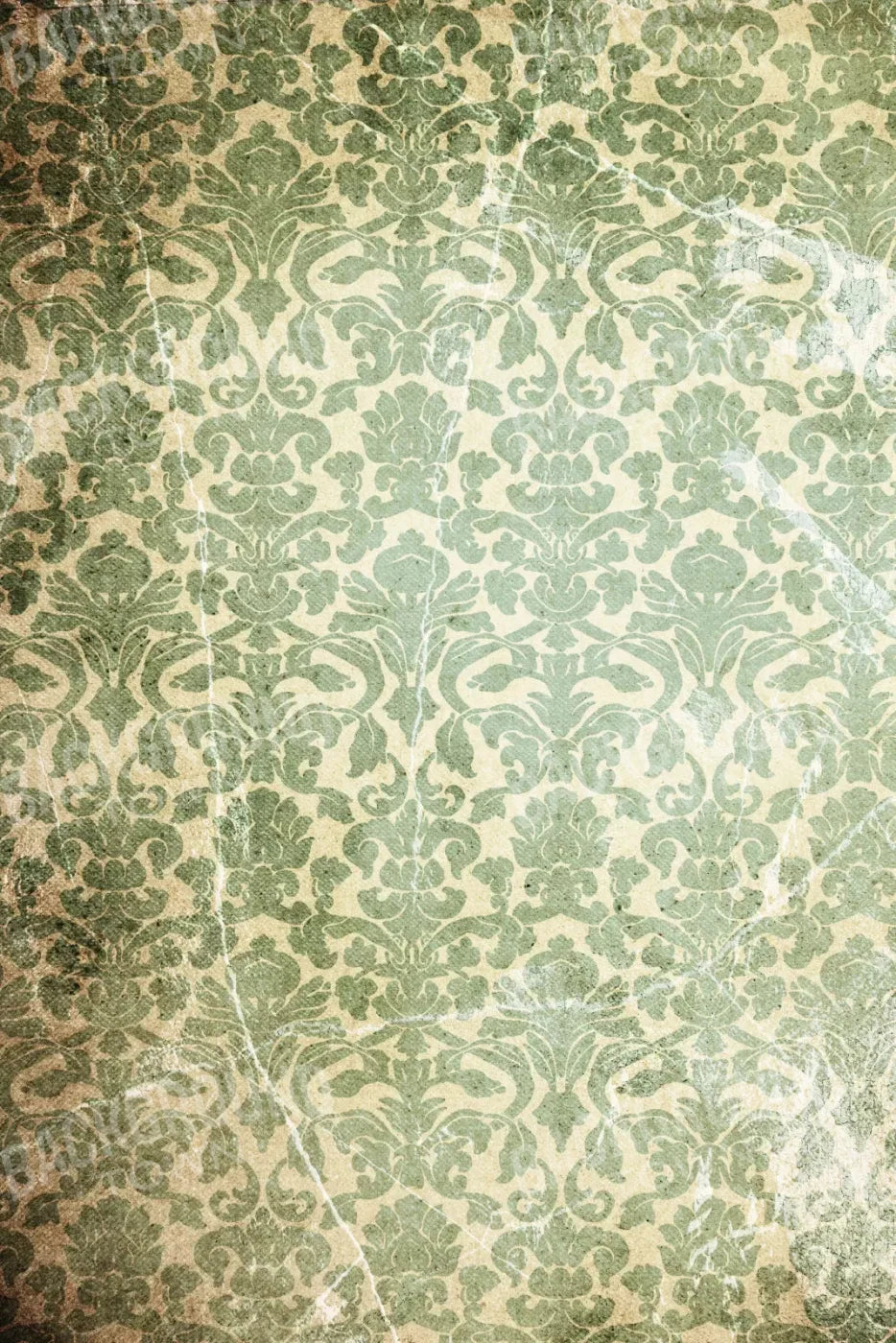 Elegant 5X8 Ultracloth ( 60 X 96 Inch ) Backdrop