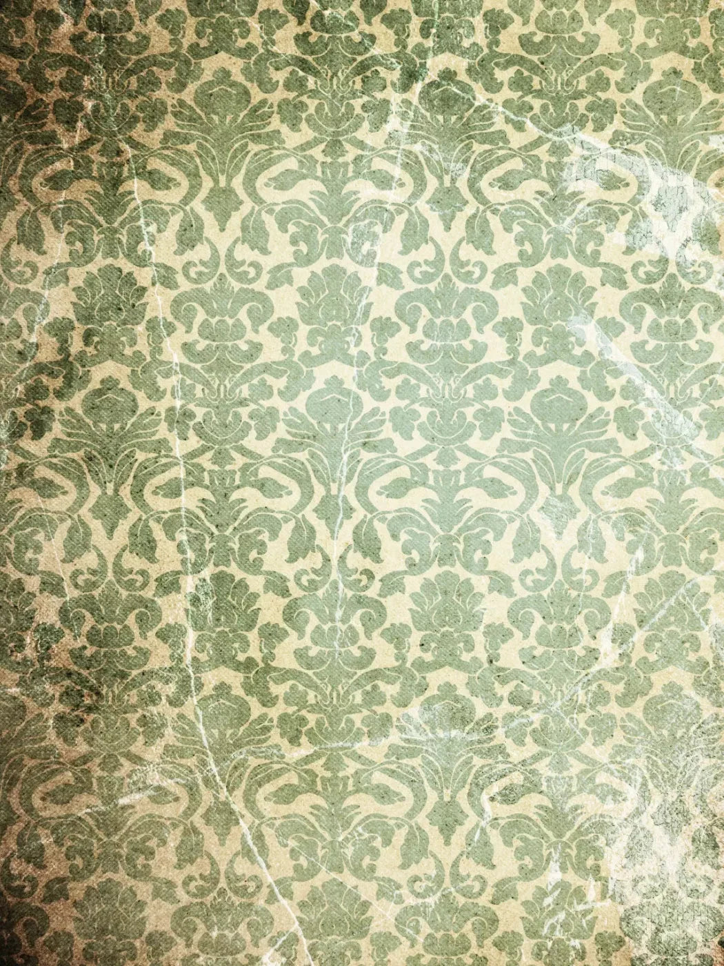 Elegant 8X10 Fleece ( 96 X 120 Inch ) Backdrop