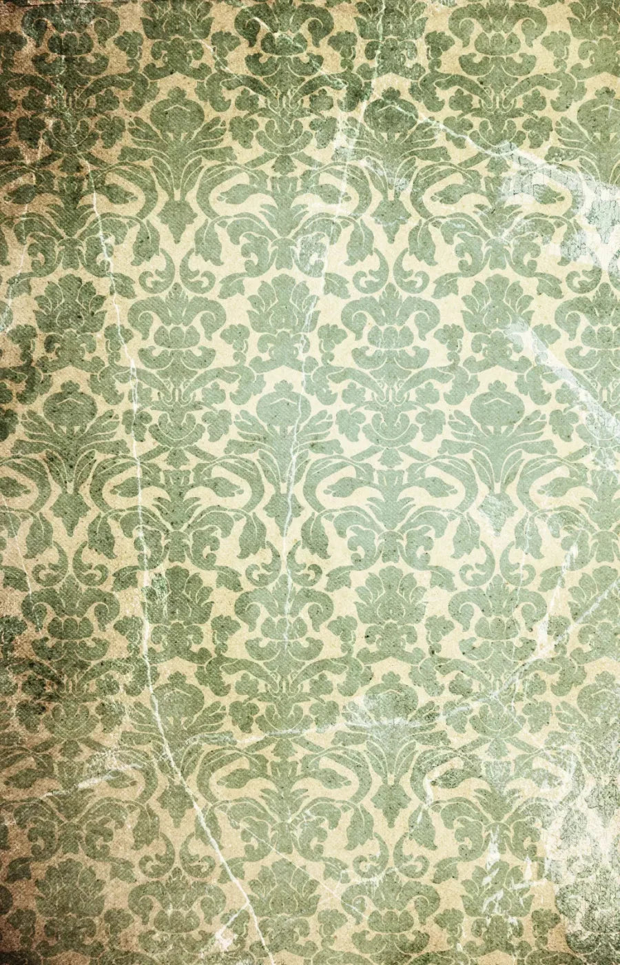 Elegant 8X12 Ultracloth ( 96 X 144 Inch ) Backdrop