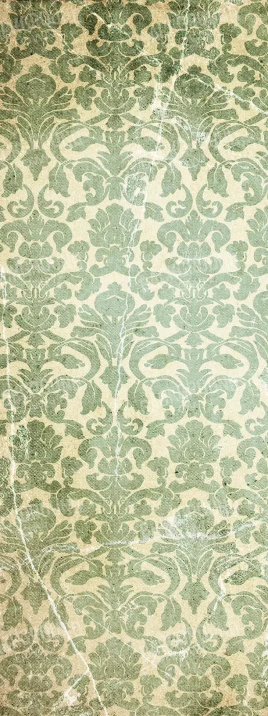 Elegant 8X20 Ultracloth ( 96 X 240 Inch ) Backdrop