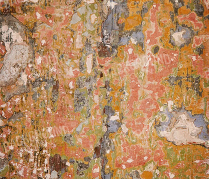 Elements 12X10 Ultracloth ( 144 X 120 Inch ) Backdrop