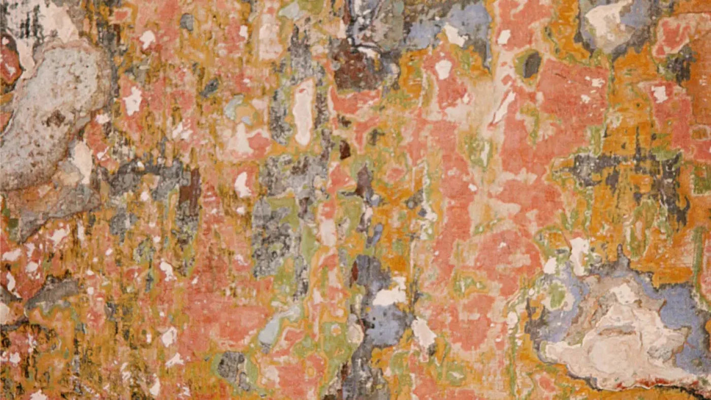 Elements 14X8 Ultracloth ( 168 X 96 Inch ) Backdrop