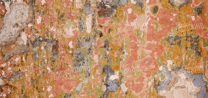 Elements 16X8 Ultracloth ( 192 X 96 Inch ) Backdrop