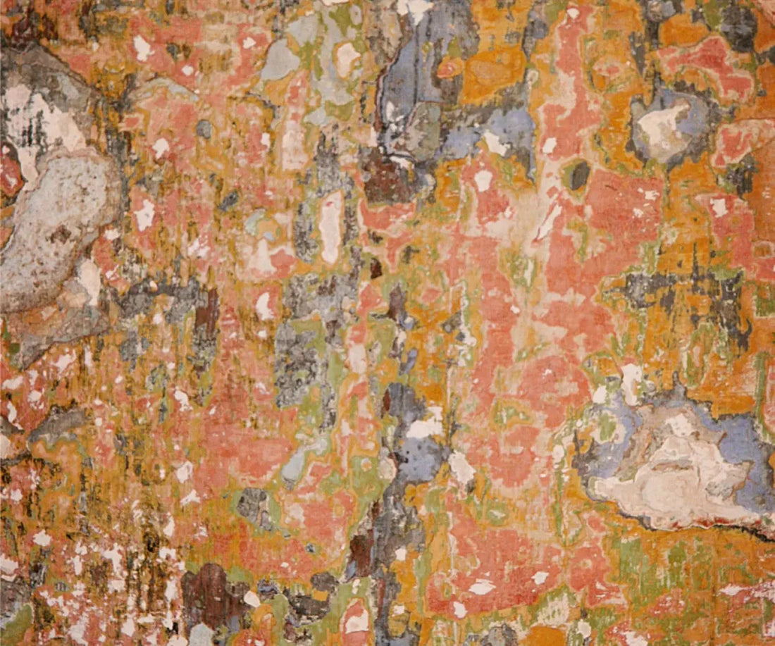 Elements 5X42 Fleece ( 60 X 50 Inch ) Backdrop