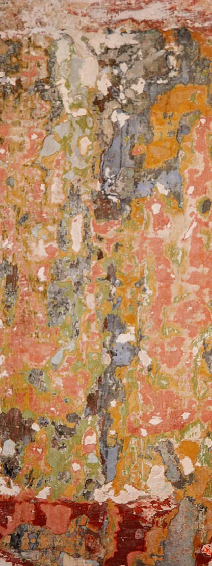 Elements 8X20 Ultracloth ( 96 X 240 Inch ) Backdrop