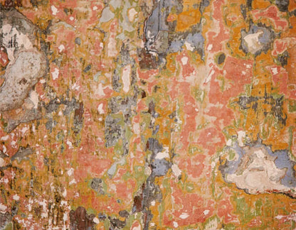 Elements 8X6 Fleece ( 96 X 72 Inch ) Backdrop