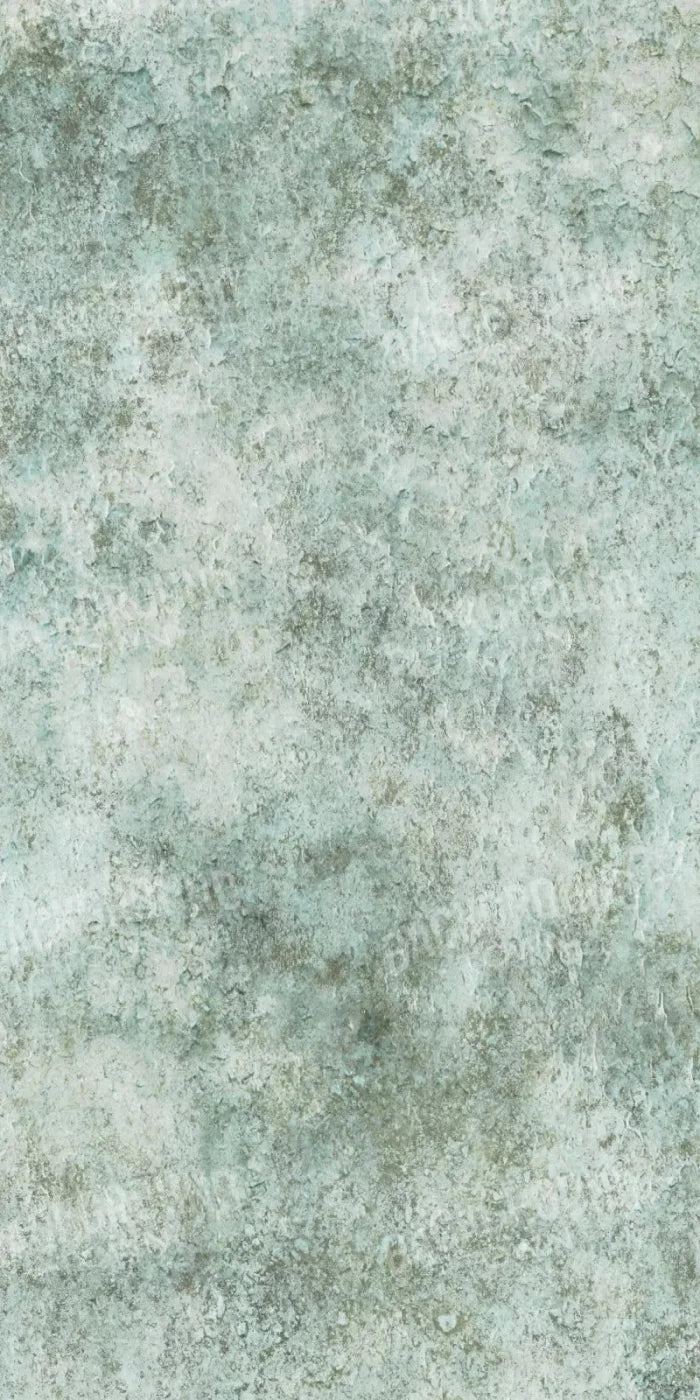 Eli 10X20 Ultracloth ( 120 X 240 Inch ) Backdrop