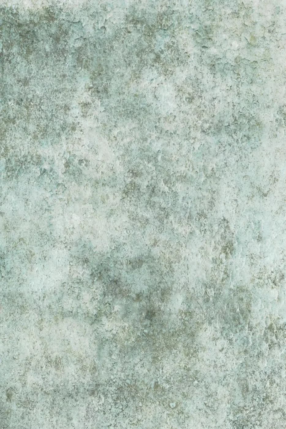 Eli Backdrop