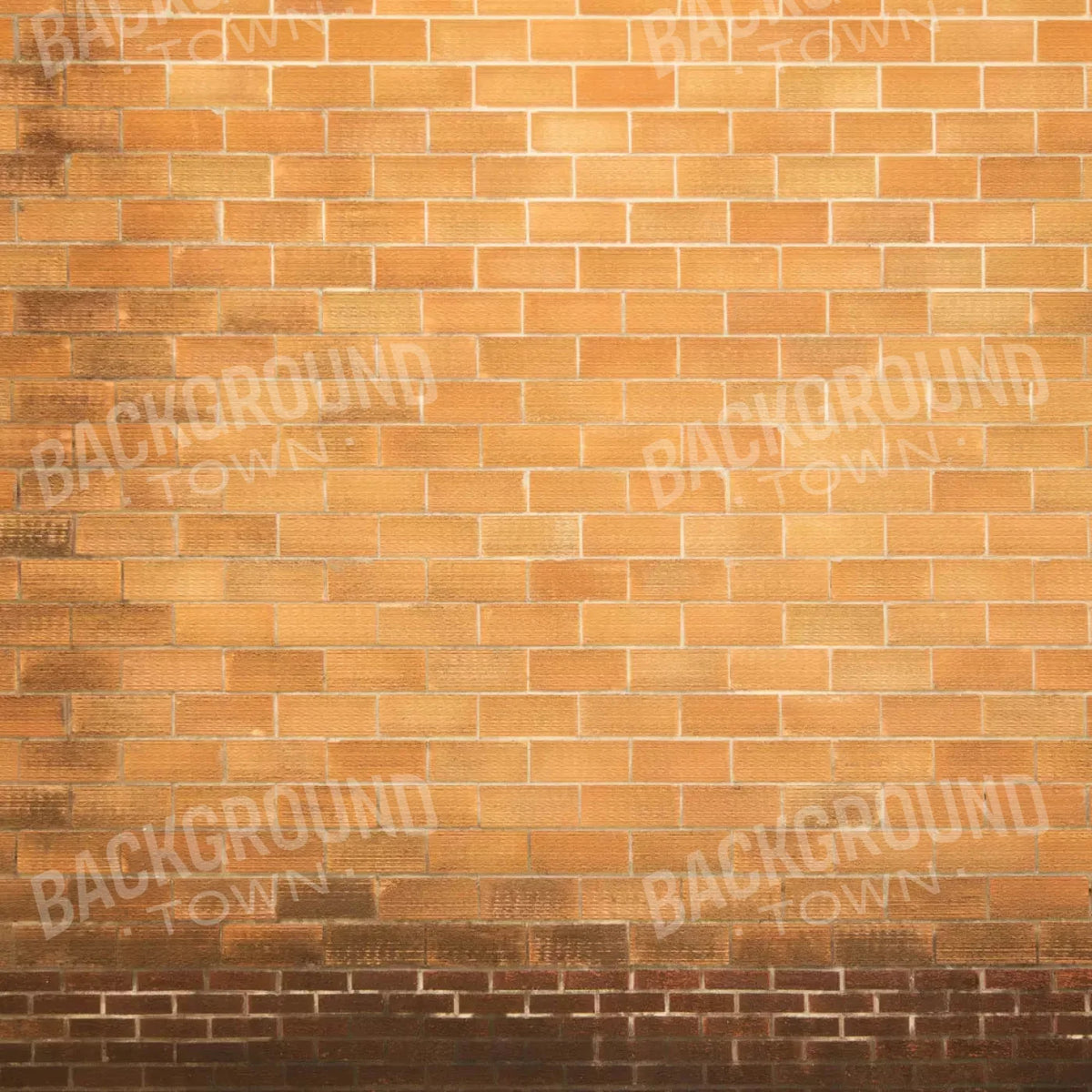 Elison 10X10 Ultracloth ( 120 X Inch ) Backdrop