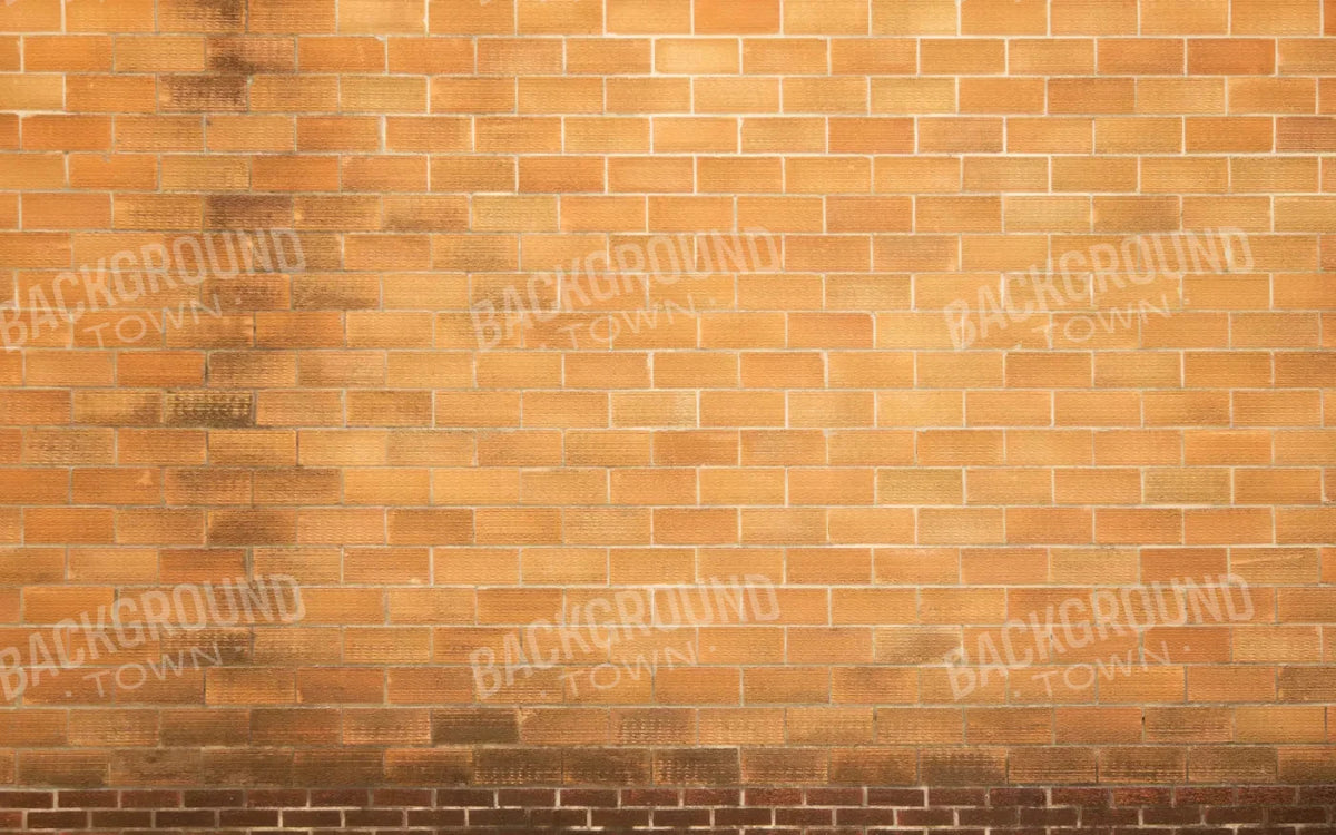 Elison 14X9 Ultracloth ( 168 X 108 Inch ) Backdrop