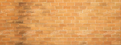 Elison 20X8 Ultracloth ( 240 X 96 Inch ) Backdrop