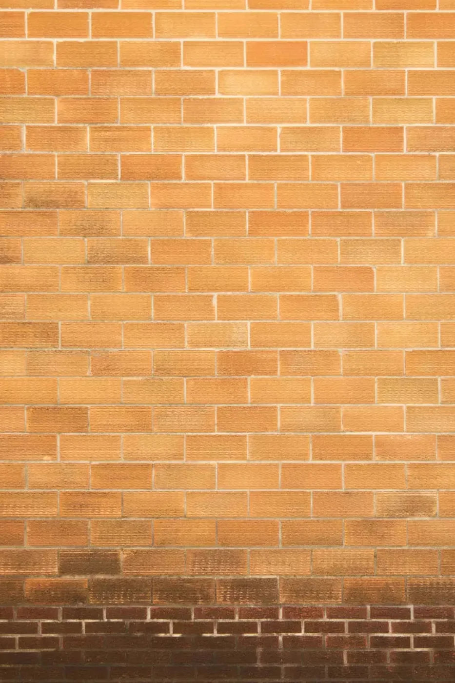 Elison Backdrop