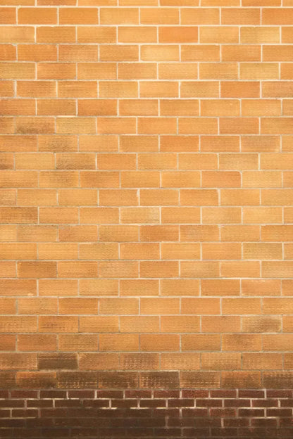 Elison Backdrop