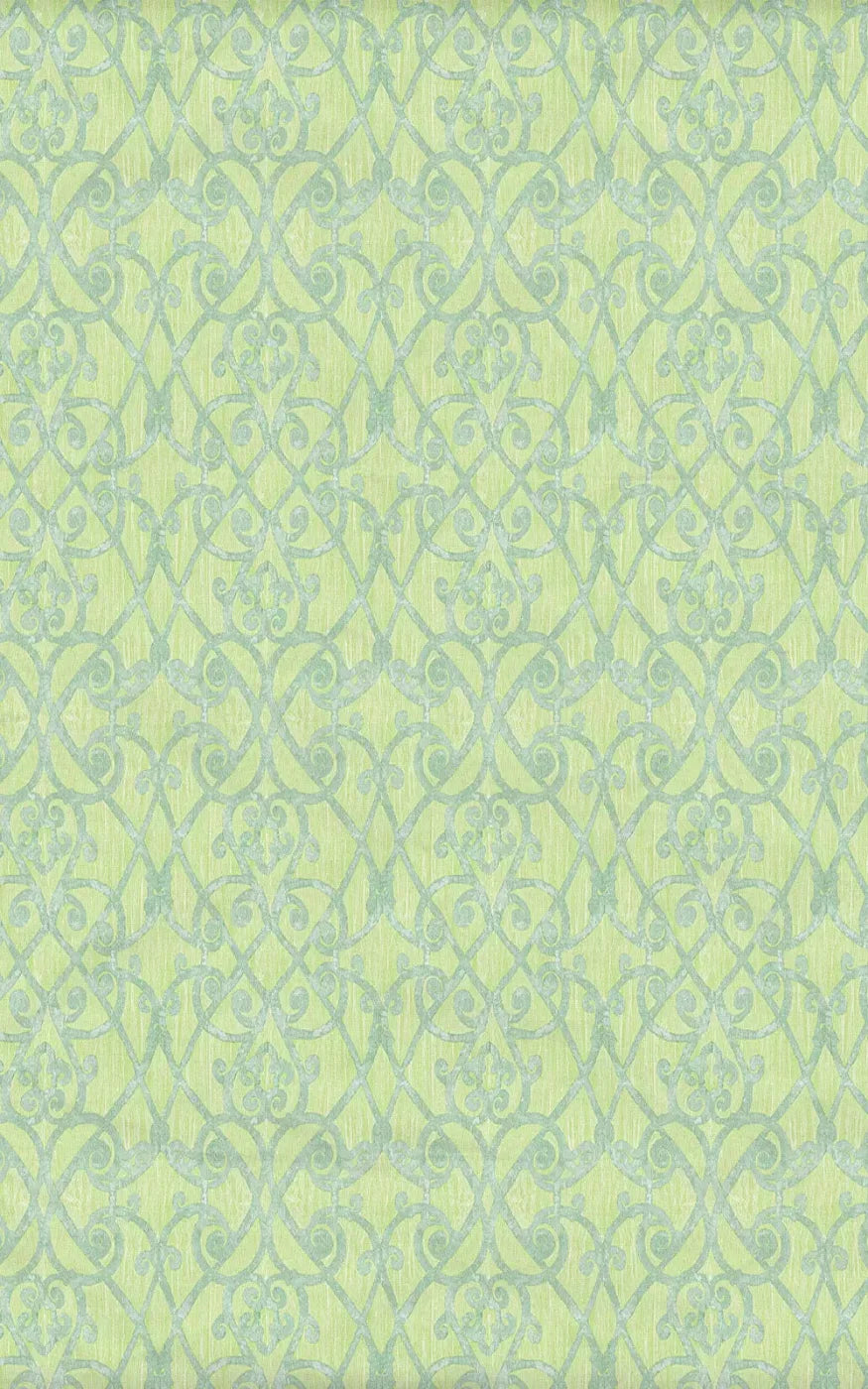 Eloise 9X14 Ultracloth ( 108 X 168 Inch ) Backdrop