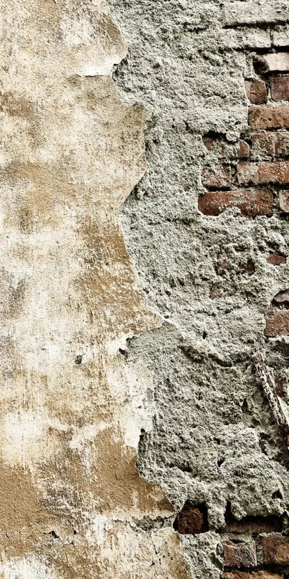 Elude 10X20 Ultracloth ( 120 X 240 Inch ) Backdrop