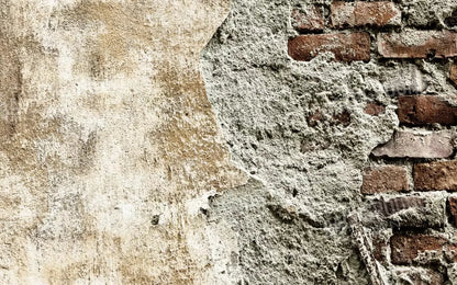 Elude 14X9 Ultracloth ( 168 X 108 Inch ) Backdrop