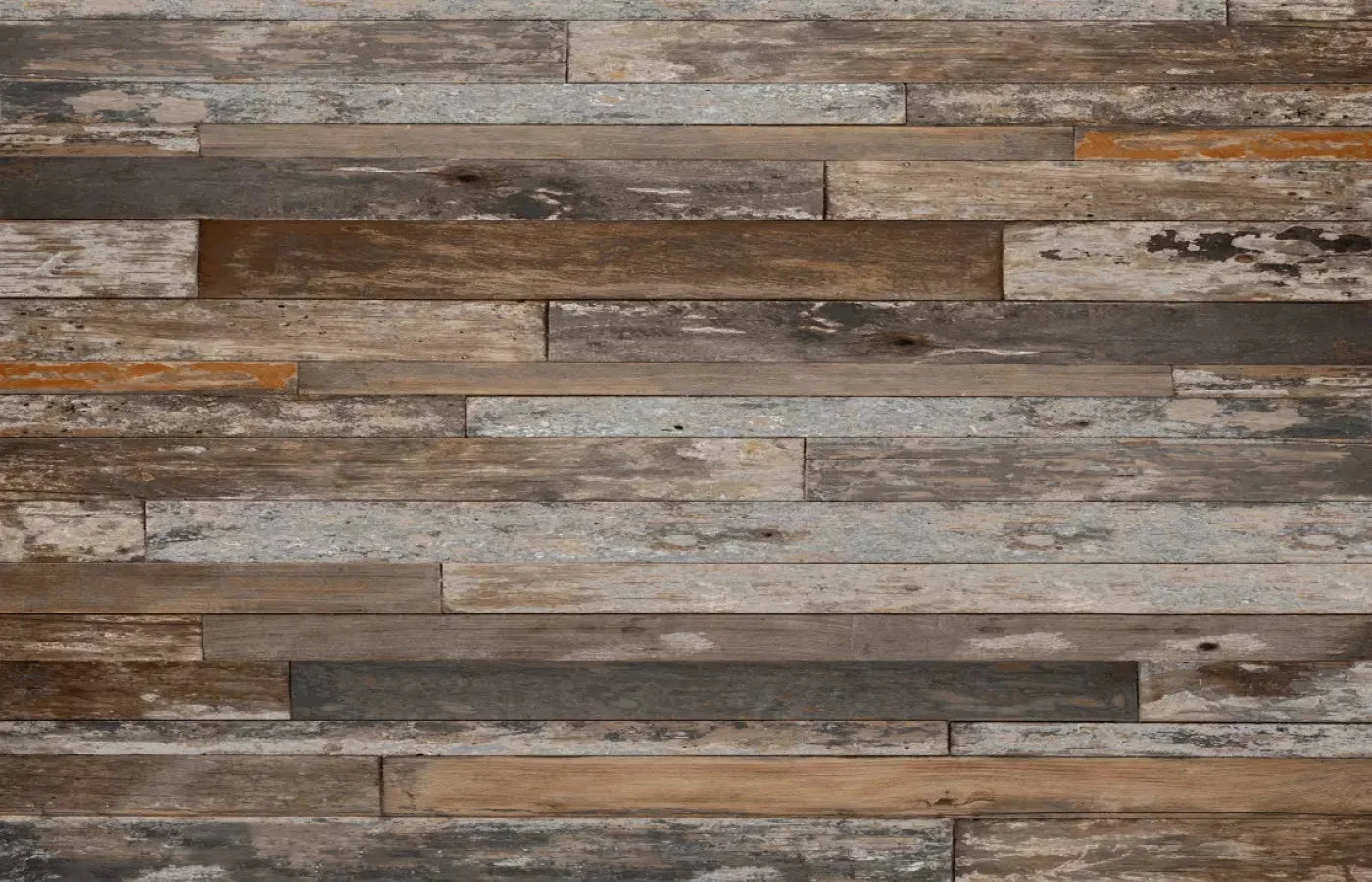 Embark 12X8 Ultracloth ( 144 X 96 Inch ) Backdrop
