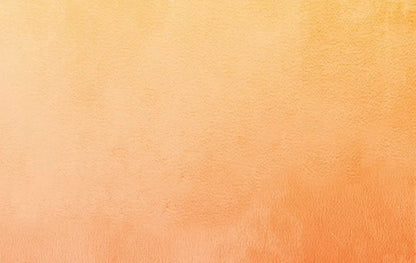 Ember 16X10 Ultracloth ( 192 X 120 Inch ) Backdrop